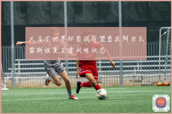 大马丁世界杯首战有望首发阿尔瓦雷斯恢复正常训练状态