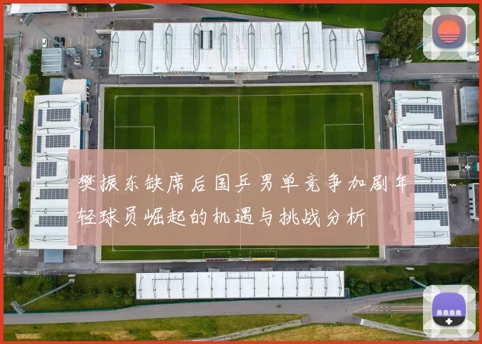 樊振东缺席后国乒男单竞争加剧年轻球员崛起的机遇与挑战分析